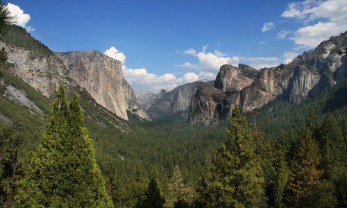 YosemitePark2