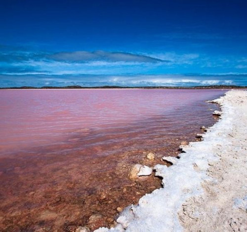 hillier lake australia