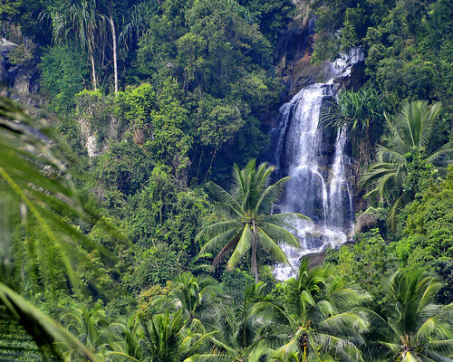 tropical_rainforest-waterfalls